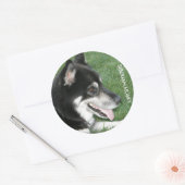 シベリアのハスキー写真 ラウンドシール (封筒)