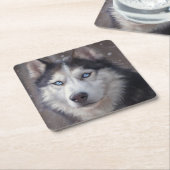 シベリアのハスキー犬 スクエアペーパーコースター (アングル)