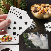 シベリアのハスキー犬 トランプ (インサイチュ)