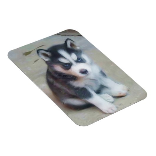 シベリアのハスキー犬 マグネット (右側)