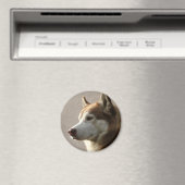 シベリアのハスキー犬 マグネット (インサイチュ (食洗機))