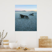 シベリアのハスキー犬、地球温暖化 ポスター (キッチン)