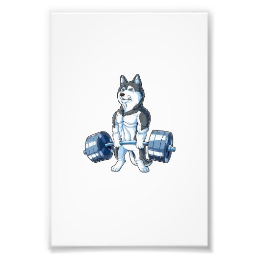 シベリアのハスキー重量挙げおもしろいデッドリフト フォトプリント            (正面)