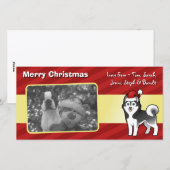 シベリアのハスキー シーズンカード (正面/裏面)