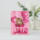 シベリアの子猫 ポストカード (スタンド正面)