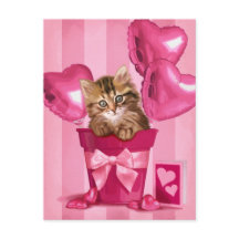 シベリアの子猫