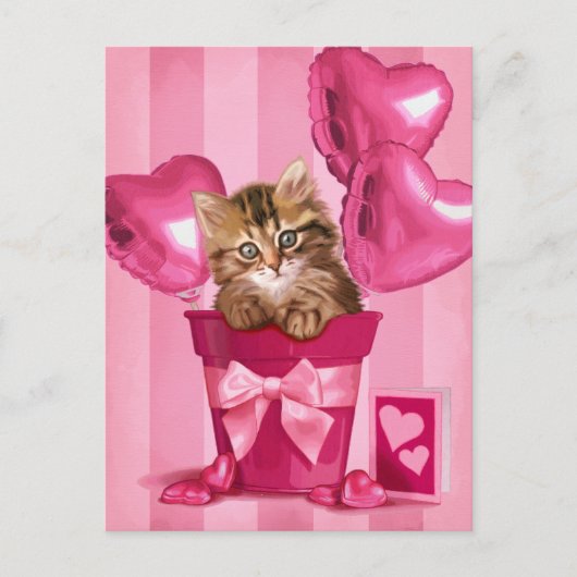 シベリアの子猫 ポストカード (正面)