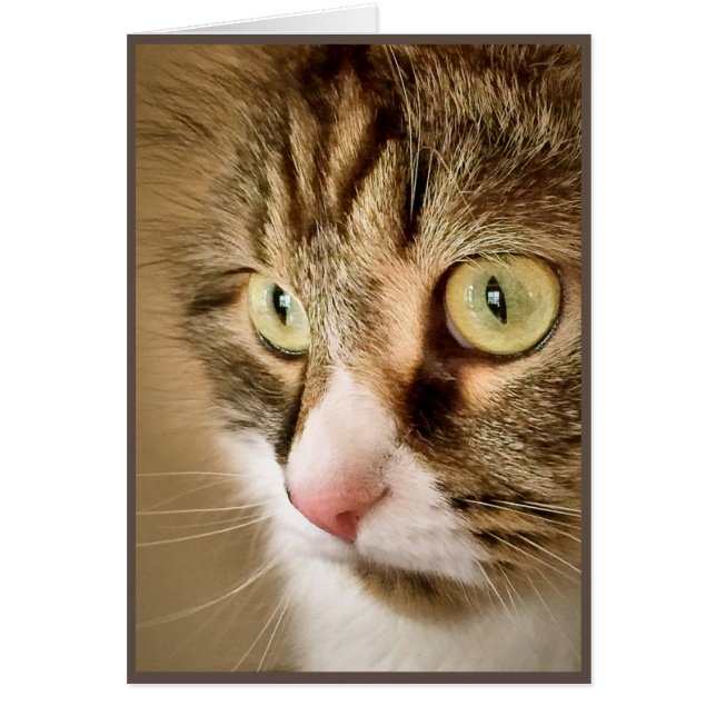 シベリアの思考(空白のなカード) (正面)