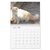 シベリアの森林猫 カレンダー (1月 2027)