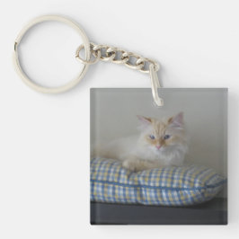 シベリアの森林猫(倍は味方しました) キーホルダー