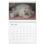 シベリアの猫が2012年1月 – 2013年3月 カレンダー (3月 2027)