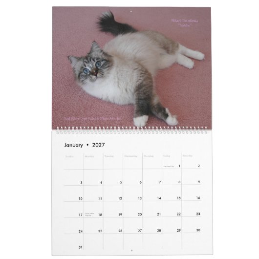 シベリアの猫たち2012 - 2013カレンダー カレンダー (1月 2027)