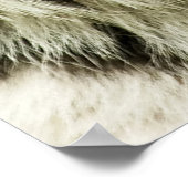 シベリアの珍しい虎:絶滅危惧休眠 ポスター (角)