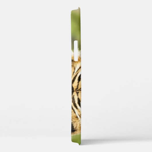 シベリアの珍しい虎:絶滅危惧休眠 Case-Mate iPhoneケース (裏面 / 右)