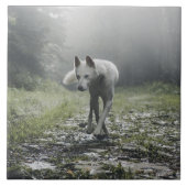 シベリアの白いハスキーのセラミックタイル タイル (正面)