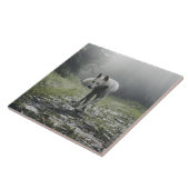 シベリアの白いハスキーのセラミックタイル タイル (側面)