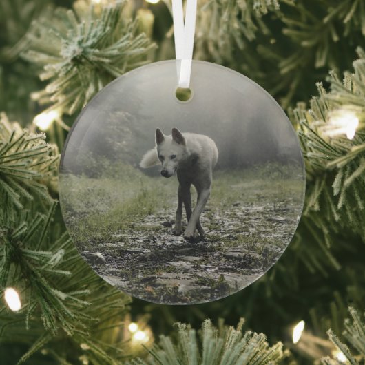 シベリアの白ハスキー ガラスオーナメント (インサイチュ)