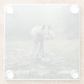 シベリアの白ハスキー ガラスコースター (裏面)