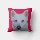 シベリアの白ハスキー クッション (裏面)