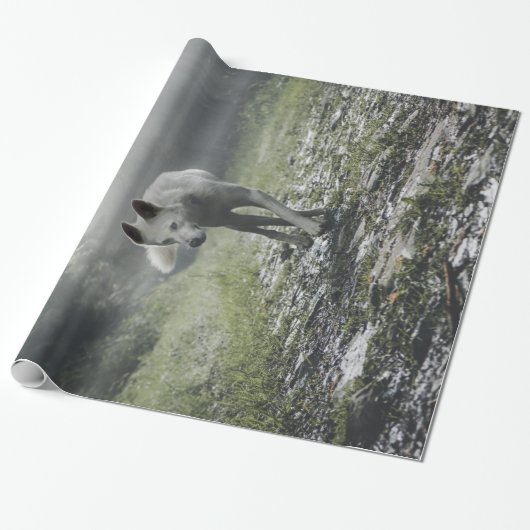 シベリアの白ハスキー ラッピングペーパー (アンロールド)