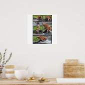 シベリアの虎のポスター ポスター (キッチン)