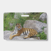 シベリアの虎のポートレート写真 バッジ (裏面)