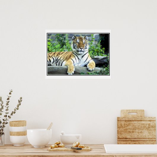 シベリアの虎 ポスター (キッチン)