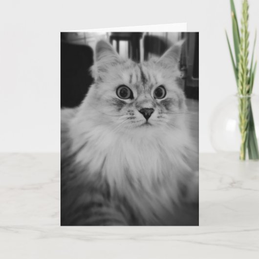 シベリアの魔法のメッセージカード カード (正面)