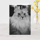 シベリアの魔法のメッセージカード カード (黄色い花)