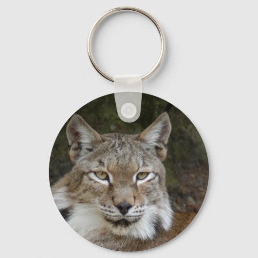 シベリアオオヤマネコ001 キーホルダー (正面)