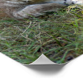 シベリアオオヤマネコ027 ポスター (角)