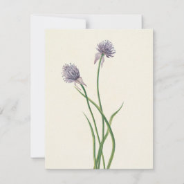 シベリアオニオンバイマリーブヴォーウォルコット ノートカード