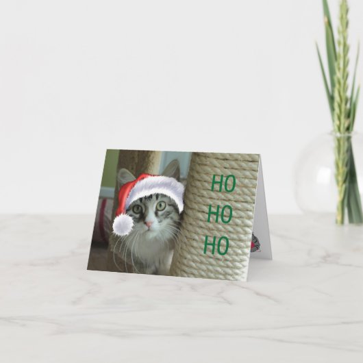 シベリアキャットホリディグリーティングカード シーズンカード (正面)
