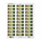 シベリアタイガー差出人住所ラベル ラベル (フルシート)