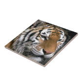 シベリアタイガー愛好家アート タイル (側面)