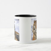 シベリアトラ、ヒョウ属のチグリス川のaltaica、アジア マグカップ (中央)