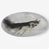 シベリアハスキーなモデル ペーパープレート (アングル)