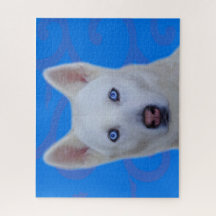 シベリアハスキージグソーパズル（ブルーBG）