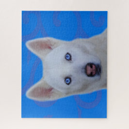 シベリアハスキージグソーパズル（ブルーBG） ジグソーパズル