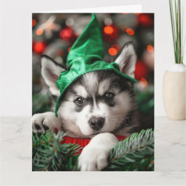 シベリアハスキー小妖精や小人子犬クリスマスカード カード