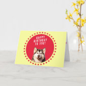 シベリアハスキー犬ハッピーバースデーグリーティングカード カード (黄色い花)