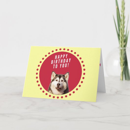 シベリアハスキー犬ハッピーバースデーグリーティングカード カード (正面)
