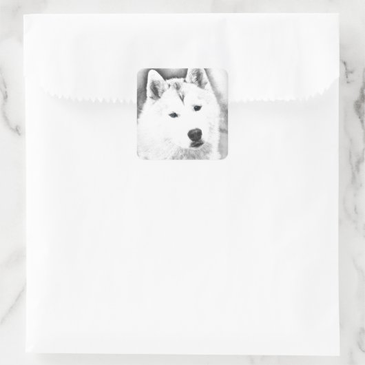 シベリアハスキー青い目のファインアートスケッチ スクエアシール (バッグ)