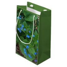 シベリアブグロス – 青と緑 – 