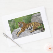 シベリアリラックスタイガーの岩 長方形シール (封筒)