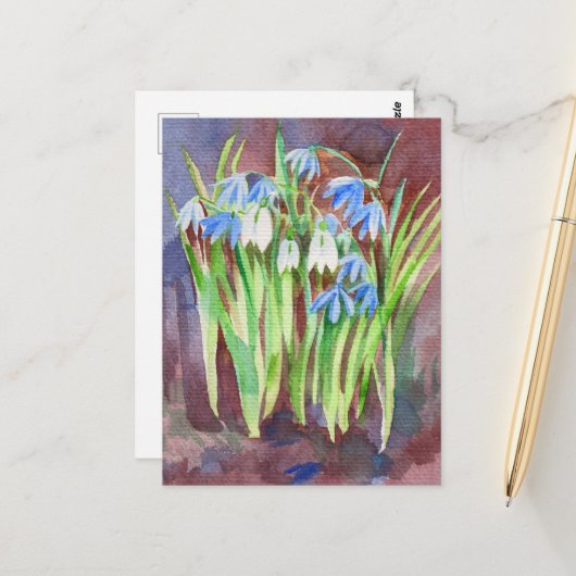 シベリアンスクイ ルの青い春の花の絵 ポストカード (正面/裏面インサイチュ)