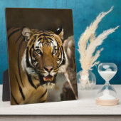 シベリアンタイガー フォトプラーク (側面)