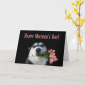シベリアンハスキーとチューリップ 母の日おめでとう カード (黄色い花)