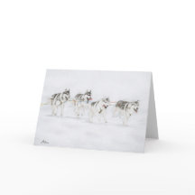 シベリアンハスキーのそりのドッグレースのチーム