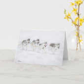 シベリアンハスキーのそりのドッグレースのチーム カード (黄色い花)